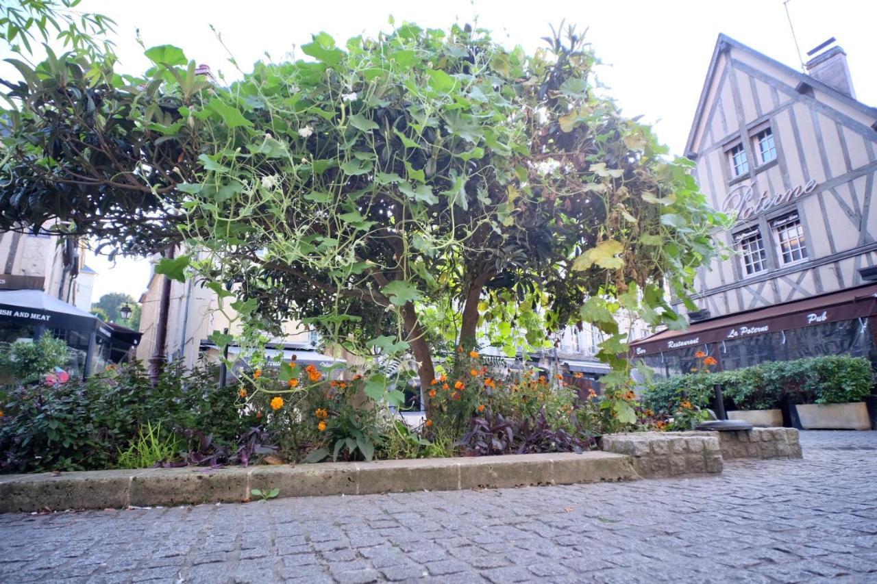Le Perroquet Fringant, Rue Pietonne Et Quartier Historique Apartamento Caen Exterior foto